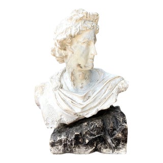 Vintage Cast Stone Bust of Apollo Belvedere For Sale
