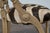 English 1880s Aesthetic Movement Carved Oak Chair with Zebra Upholstery For Sale - Image 11 of 12