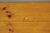 Vintage French Country Oval Pine Wood 78" Baluster Leg Farmhouse Dining Table For Sale - Image 13 of 18