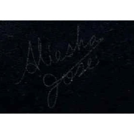 Illustration Birds of Belgium, Fine Art, Original, Artist Signature Alieska & Jose For Sale - Image 3 of 3