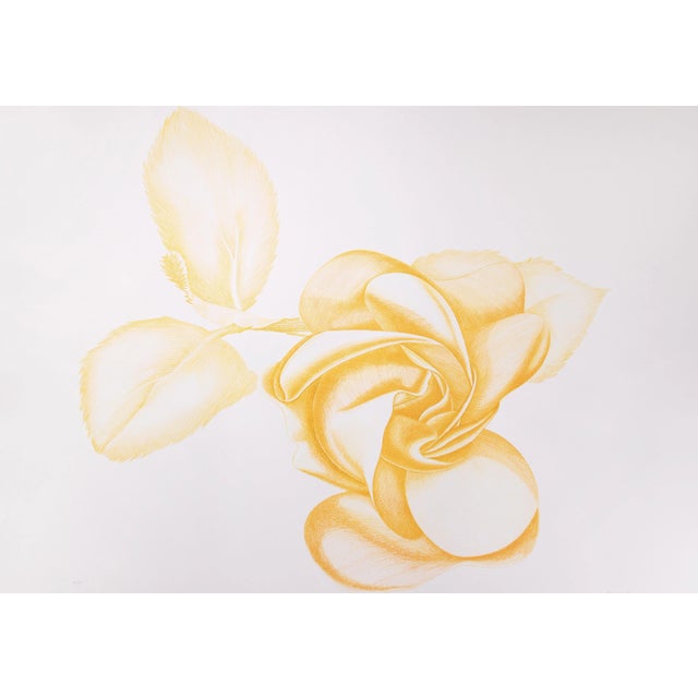 Giacomo Porzano, Yellow Rose, Original Etching, 1972 For Sale