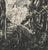 Raphaël Drouart, The Awakening of the Fauns, 1920s, Etching For Sale - Image 6 of 11