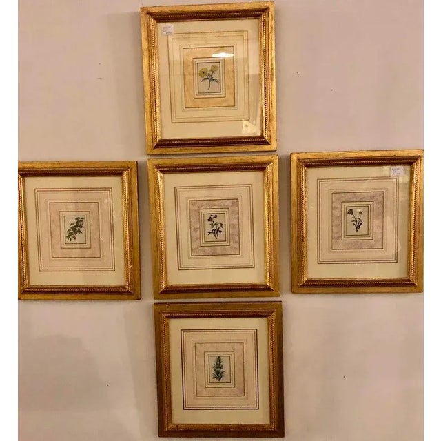 English Ten Copperplate Engravings in Gilt Frames by Benjamin Maund, Judy Cormier Framed For Sale - Image 3 of 13