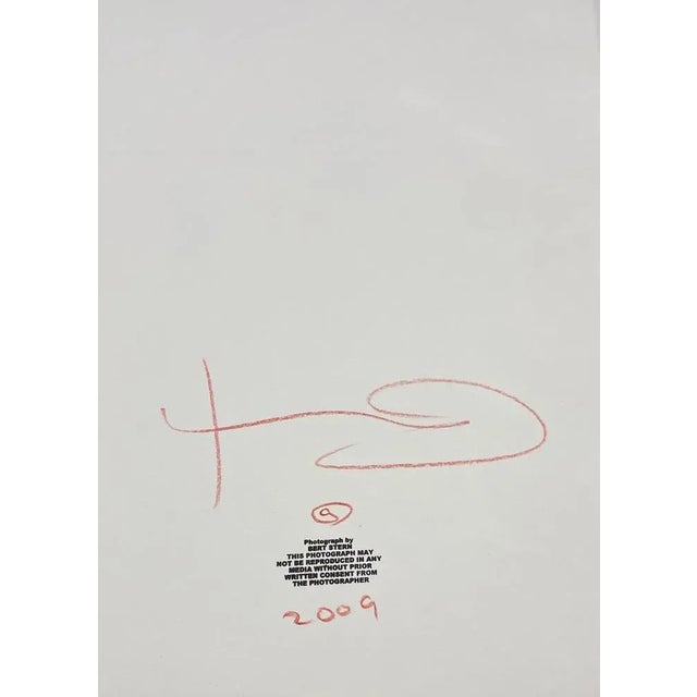 Bert Stern, The Last Sitting, 2009, Photograph For Sale - Image 11 of 13