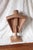 1950s Midcentury or Art Deco Style Pink Male Mannequin Bust For Sale - Image 5 of 10