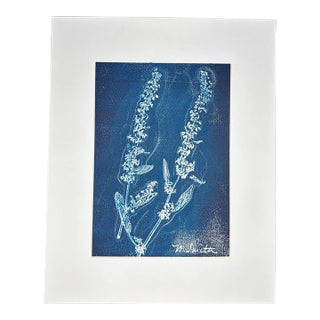 Botanical Impressions No. 05 — Original Acrylic Monoprint Wildflower Branch For Sale