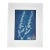 Botanical Impressions No. 05 — Original Acrylic Monoprint Wildflower Branch For Sale