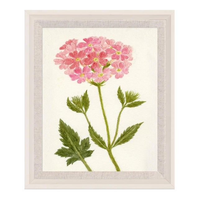 Hubbard Flower, Small: 8089 Artwork, Framed Artwork For Sale