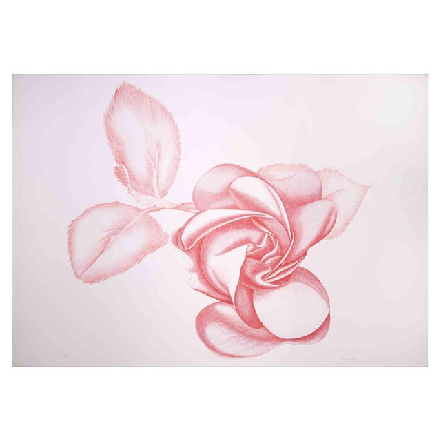 Giacomo Porzano, Red Rose, Original Etching, 1970s For Sale