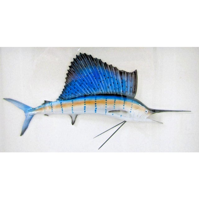 The John H. Gresser Carved and Painted Sailfish, Mahi-Mahi and Marlin in Shadowbox is a large framed sculpture created by...