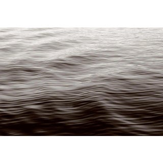 Michael Banks, Flowing 1, Photographic Pigment Print, 2013 For Sale