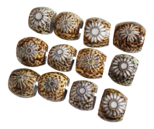 Hand Cut Natural Cowry Shell Napkin Ring Holder in Wooden Box - Set of 12