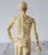 Vintage Acupuncture Mannequin For Sale - Image 10 of 13