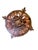 1920s Spanish Revival Foyer or Hallway Light With Original Gold Brass Finish #2615 For Sale - Image 9 of 18