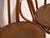Early 20th Century Chairs in Bentwood, Central Europe, 1930, Set of 2 For Sale - Image 5 of 14