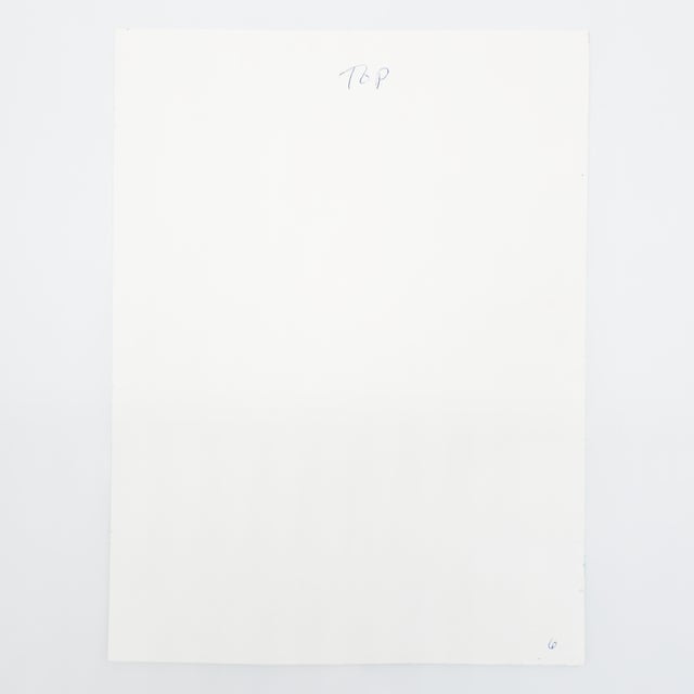 Green Fullness Complaints - Eva Bouzard-Hui, C. 1998 For Sale - Image 8 of 10