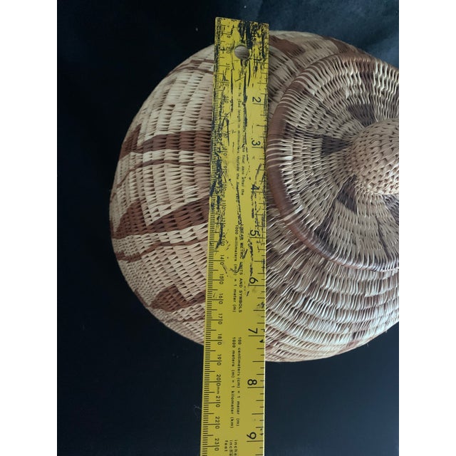 Share Vintage Botswana Coiled Basket With Lid 10.5" African Tribal Art Ginger Jar For Sale - Image 6 of 11