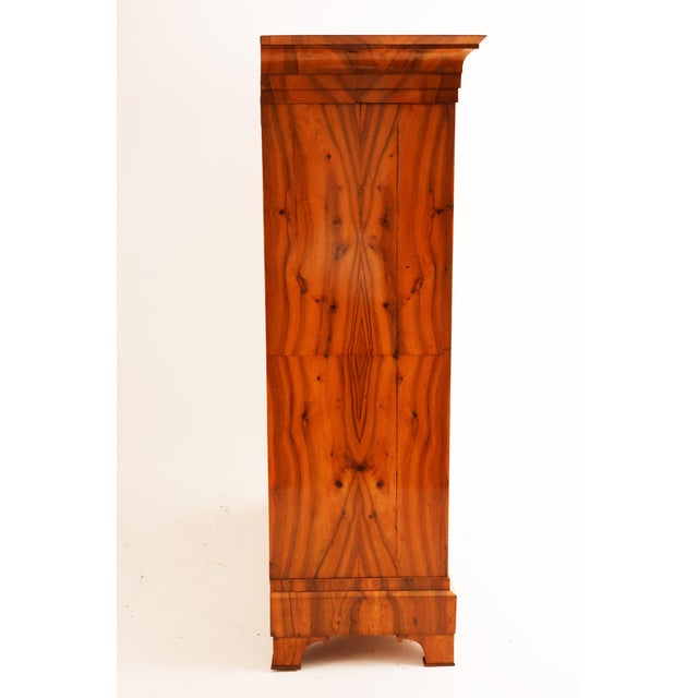 Biedermeier Hall Cabinet in Walnut, 1820 For Sale - Image 6 of 8