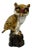 Mid 19th Century Painted Porcelain Owl For Sale