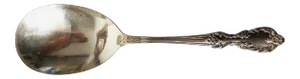 Vintage Wm Rogers Mfg Co. Extra Silver Plate Casserole Serving Spoon