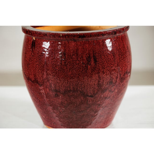 Vintage Chinese Oxblood Glazed Ceramic Planter with Flared Rim For Sale In New York - Image 6 of 18