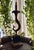 Vintage Table Lamp with Bronze Dolphin on Black Marble Base, 1950 For Sale - Image 12 of 14