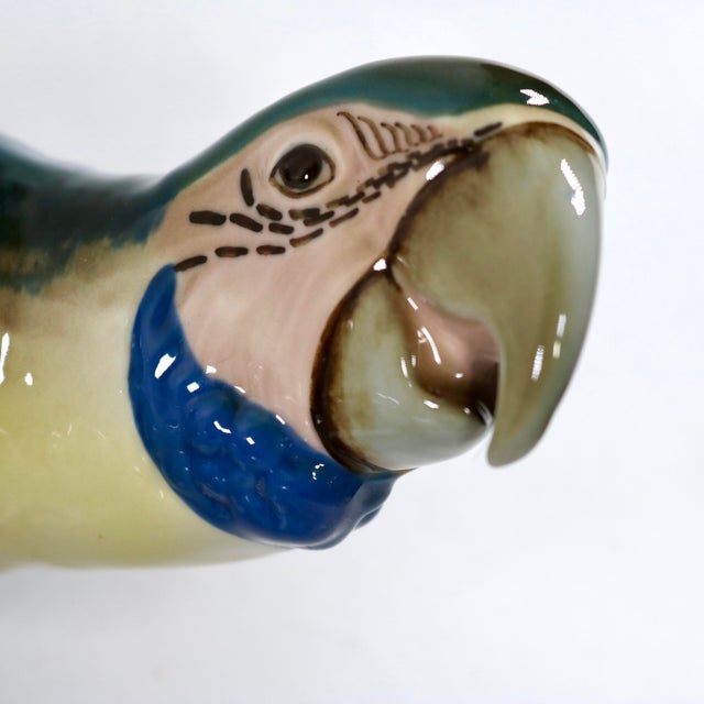 Mid-Century Royal Dux Porcelain Perching Macaw Parrot For Sale - Image 10 of 14