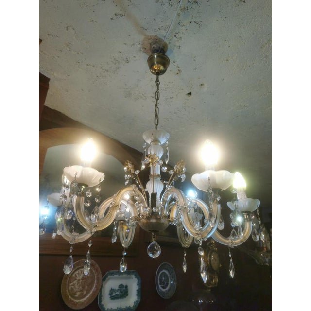 Vintage Chandelier in Glass, 1950s For Sale - Image 16 of 16