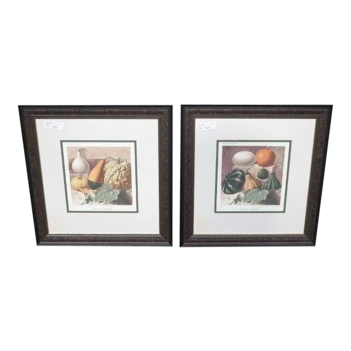 W. King Ambler Decorative Framed Fruit Prints a Pair Chairish