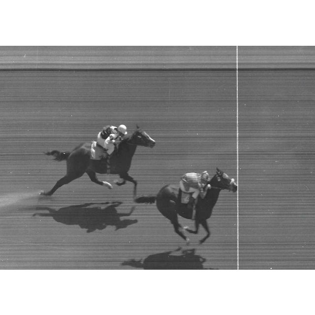 1965 equestrian photograph of Larson's Rocket crossing the finish line. Shipping times are much less than Chairish...