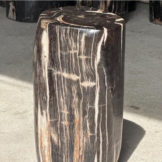 Side Table in Black Petrified Wood with White Sides and Beige Striations, 1980s For Sale - Image 17 of 18