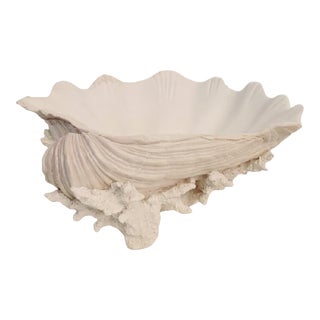 Coastal Regency Large Faux Clam Shell and Coral Decorative Bowl Room Decor For Sale