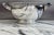 Late 20th Century Antique St. Louis Silver Company Small Silver Plated Trophy Bowl For Sale - Image 5 of 13