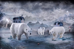 Lost in the Ice by Marcin Owczarek | Photography - Dye Sublimation on Aluminum featuring polar bears in a surreal landscape.