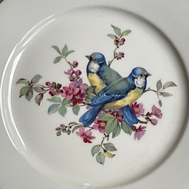 Ivory Mid 20th Century Porcelain Song Bird Plates JKW Western Germany, Set of 6 For Sale - Image 8 of 18