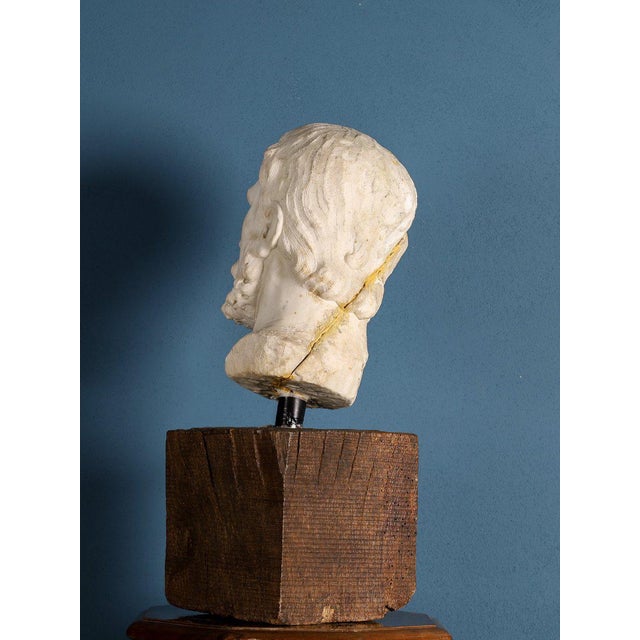 Girolamo Ticciati, Male Head with Beard and Wavy Hair, 18th Century, Marble For Sale - Image 6 of 8