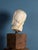 Girolamo Ticciati, Male Head with Beard and Wavy Hair, 18th Century, Marble For Sale - Image 6 of 8