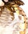 Pair of Maison Jansen Gilt Metal Palm Tree Sconces, France, 20th Century For Sale In Greensboro - Image 6 of 15