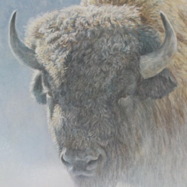 Late 20th Century Robert Bateman "Wood Bison" Lithograph Framed, Signed For Sale In Cincinnati - Image 6 of 11