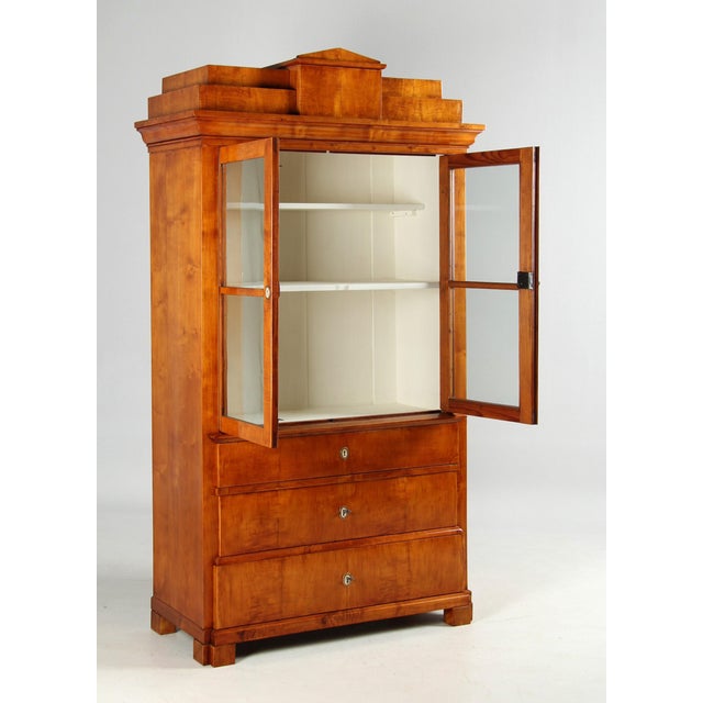 Tan German Biedermeier Display Bookcase, 1830s For Sale - Image 8 of 15