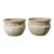 Early 20th Century Pair of English Willowstone Garden Pots For Sale