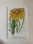 Realism Vintage Botanical Chromolithograph, Set of 3 For Sale - Image 3 of 9