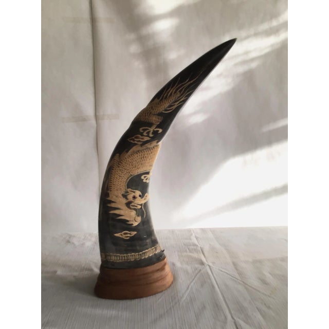 1950s Carved Horns with Dragon Motif on Wood Base - A Pair