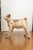 1940s Vintage Terracotta Terrier Sculpture For Sale - Image 5 of 8