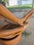 Mid-Century Modern Organic Bentwood Rattan Swivel Tub Chair For Sale - Image 9 of 18