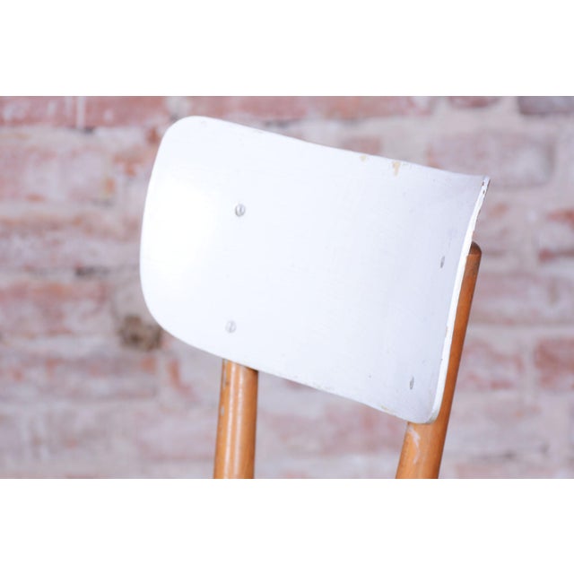 Wood Mid-Century Dining Chairs in Beech, Czechia, 1950s, Set of 4 For Sale - Image 7 of 15