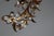 Venetian Gilded Flowers Ceiling Lamp, 1980s For Sale - Image 6 of 16