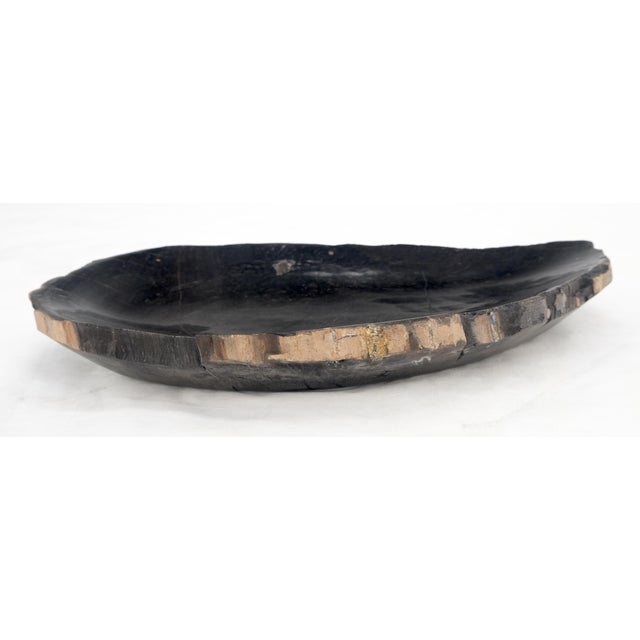 Early 21st Century Petrified Wood Round Shape Solid Black Round Bowl Dish Large Plate Ashtray MINT! For Sale - Image 5 of 9
