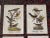 Realism Antique 19th Century American Bird Lithographs - Set of 12 For Sale - Image 3 of 8