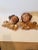 Brown Antique Cherub Heads - a Pair For Sale - Image 8 of 8